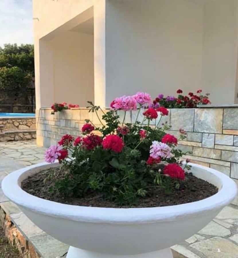 Villa Spartias Skiathos Town Exterior foto